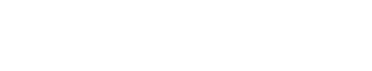 basaribilgibeceri